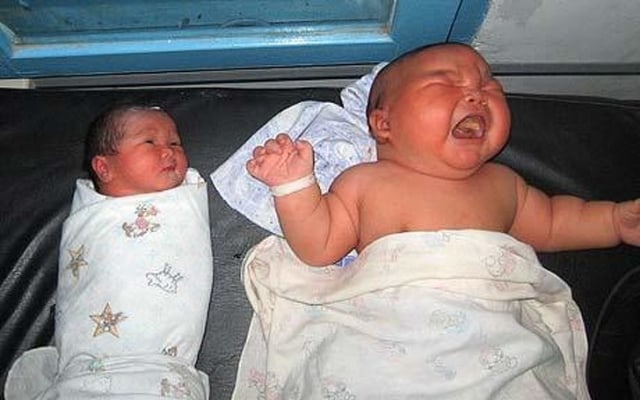 11 Hal yang Biasa Dianggap Berukuran Kecil tapi Ternyata Besar (3)