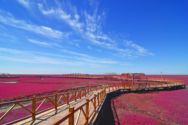 Jembatan Zig Zag di Atas Red Beach, China (Foto: Shutter Stock)