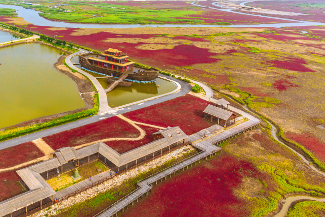 Lanskap Panjin Red Beach di China (Foto: Shutter Stock)