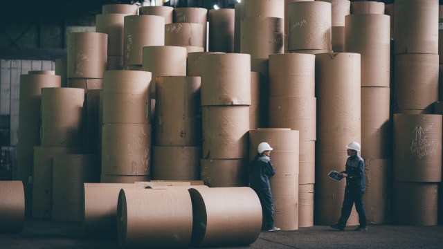 Ilustrasi pabrik kertas seperti yang menjadi bidang usaha Asia Pulp and Paper di bawah group Sinarmas. Foto: Shutter stock