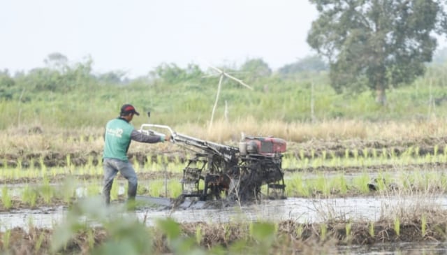 Seorang petani sedang membajak sawah yang berada di area rawa di Kalimantan Selatan. (Foto: Dok.Kementerian Pertanian)