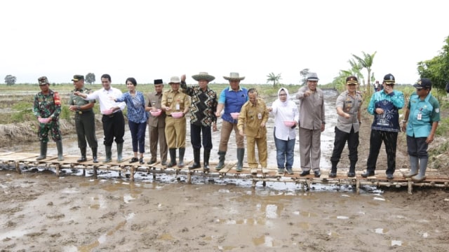 Menteri Pertanian Amran Sulaiman (ketiga kiri) saat berkunjung ke pertanian rawa di Kalimantan Selatan. (Foto: Dok.Kementerian Pertanian)