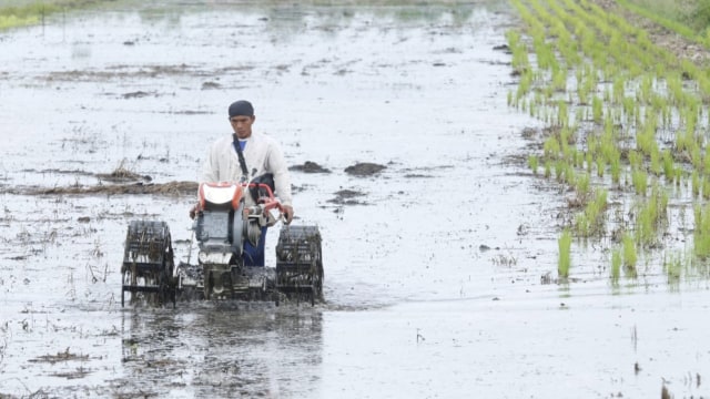 Seorang petani sedang membajak sawah yang berada di area rawa di Kalimantan Selatan. (Foto: Dok.Kementerian Pertanian)