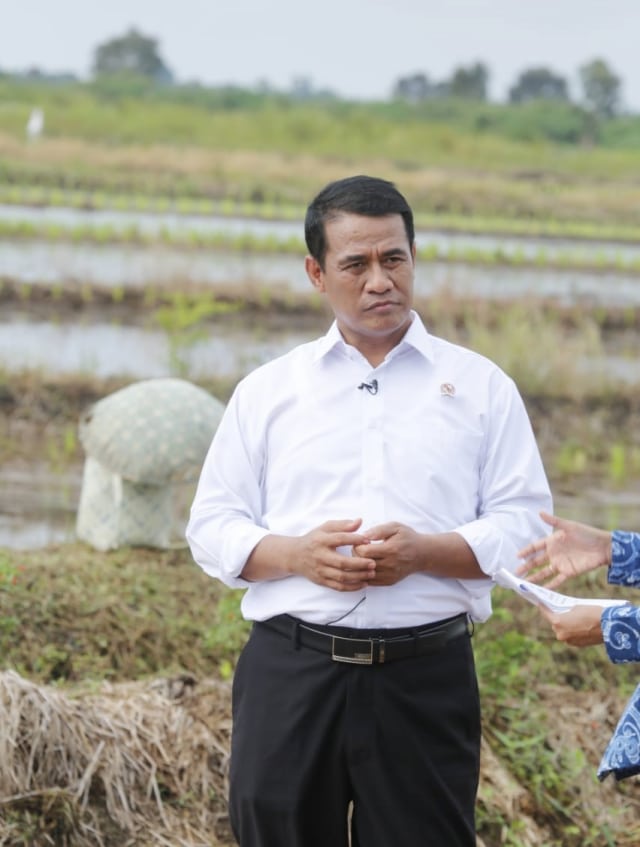 Menteri Pertanian Amran Sulaiman saat berkunjung ke pertanian rawa di Kalimantan Selatan. (Foto: Dok.Kementerian Pertanian)