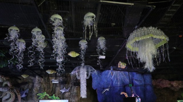 Ubur-ubur hasil daur ulang. (Foto: Helinsa Rasputri/kumparan )