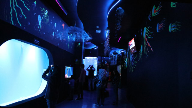 Pengunjung di Jellyfish Sphere, SeaWorld Ancol (Foto: Helinsa Rasputri/kumparan)
