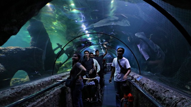 Pengunjung di SeaWorld Ancol (Foto: Helinsa Rasputri/kumparan)