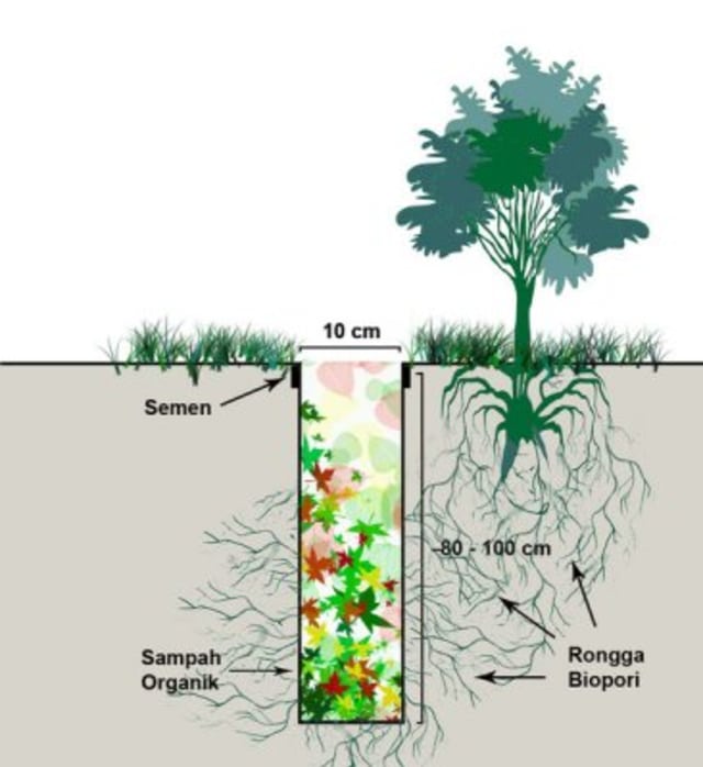 Biopori: Solusi untuk Mencegah Banjir dan Kekeringan (1)