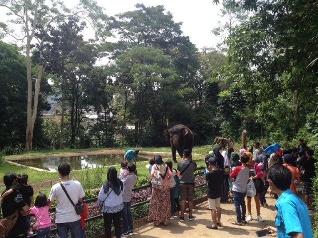 Cara Hemat Piknik ke Kebun Binatang Bandung 