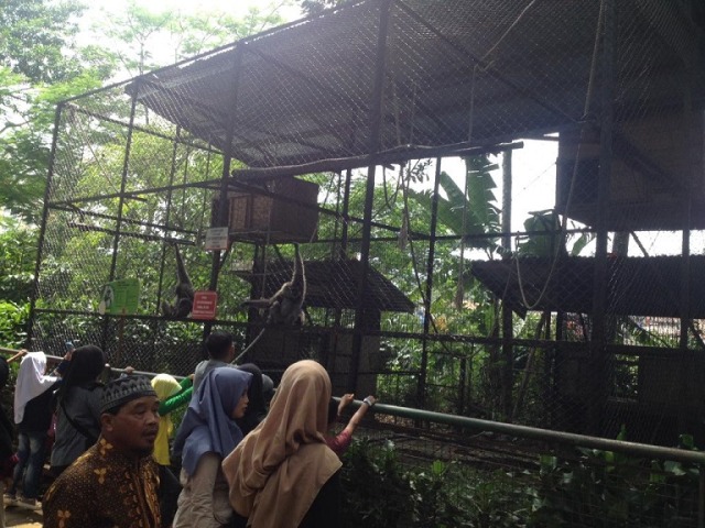 Cara Hemat Piknik ke Kebun Binatang Bandung  (1)