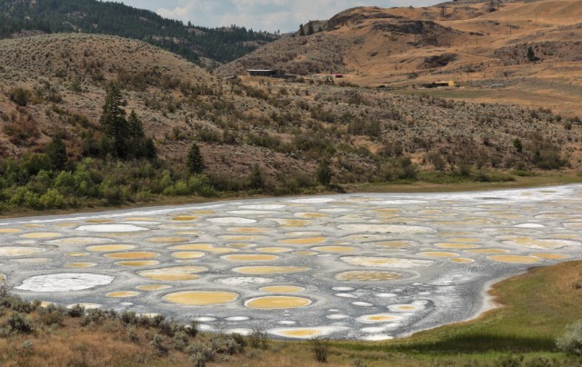 Spotted Lake adalah salah satu danau unik di Kanada (Foto: Shutter Stock)