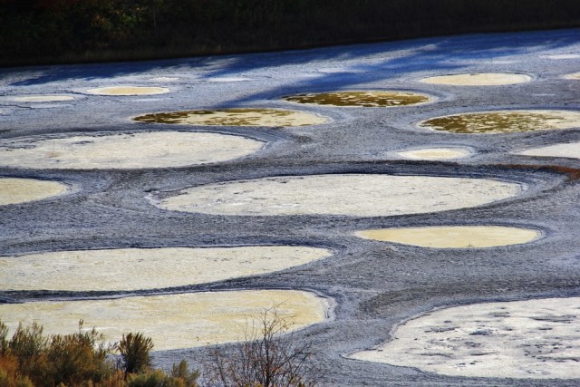 Fenomena unik di Spotted Lake (Foto: Shutter Stock)