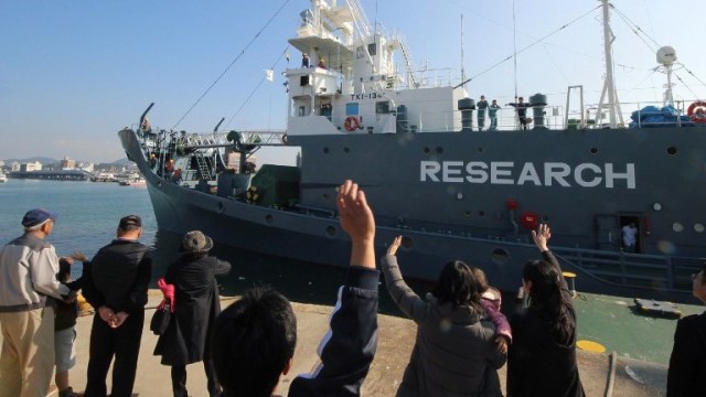 Kapal perburuan paus Jepang (Foto: AFP/Jiji Press)