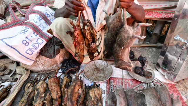 Penjual daging tikus di kota Kumarikata, India. (Foto: Biju BORO/AFP)