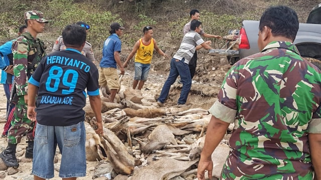 Petugas mengamankan rusa yang sudah mati dan dipotong-potong hasil perburuan ilegal yang berhasil diamankan di pantai So Toro Wamba Desa Poja, Kabupaten Bima, NTB. (Foto: ANTARA FOTO/HO-Penerangan Korem 162 Wira Bhakti)