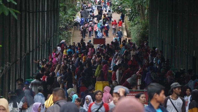 Sejumlah pengunjung memadati Kebun Binatang Ragunan, Jakarta, Selasa, (1/1/19). (Foto: Irfan Adi Saputra/kumparan)