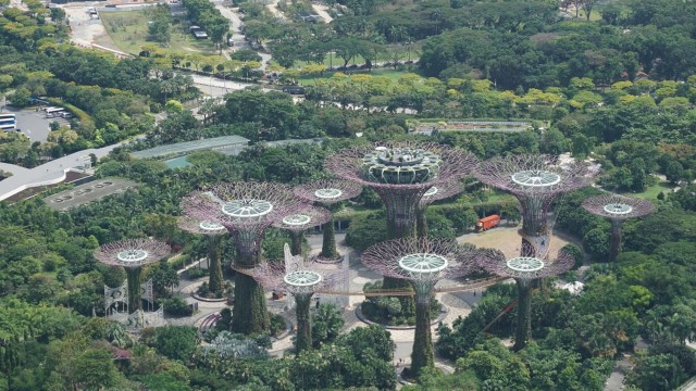 Singapura dari Sands SkyPark Observation Deck (Foto: dok. Yudhistira Amran S/ kumparan)