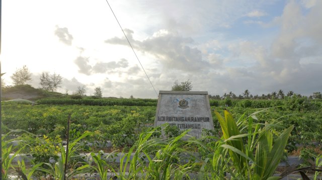 Lahan pertanian yang menjadi sengketa antara masyarakat dan TNI AD di Urutsewu, Kebumen. (Foto: Ardhana Pragota/kumparan)