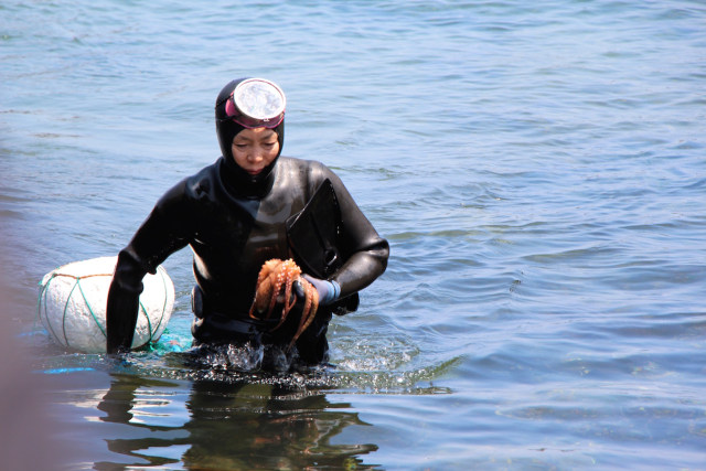 Haenyeo, Penyelam Wanita dari Jeju (Foto: Flickr / Frank Hansen)