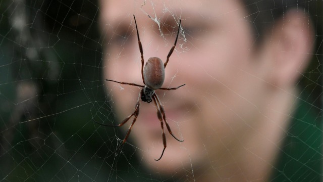 Petugas saat mensensus serangga di Kebun Binatang ZSL London. (Foto: REUTERS / Toby Melville)