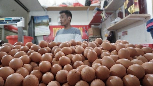 Ilustrasi pedagang telur ayam. Foto: Nugroho Sejati/kumparan