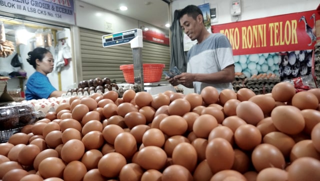 Ilustrasi pedagang telur ayam. Foto: Nugroho Sejati/kumparan