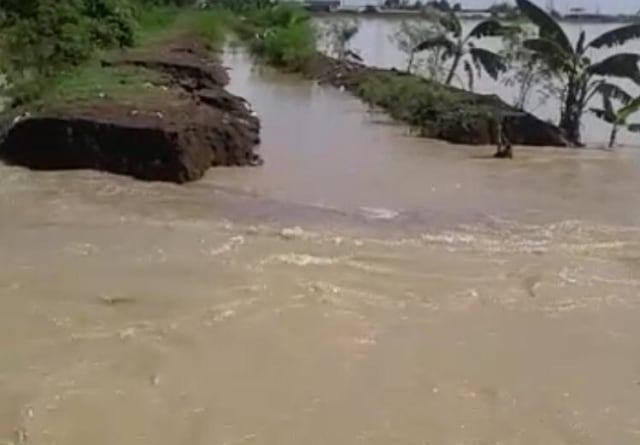 Tanggul Sungai di Losari  Brebes Jebol, Sejumlah Rumah Warga Terendam