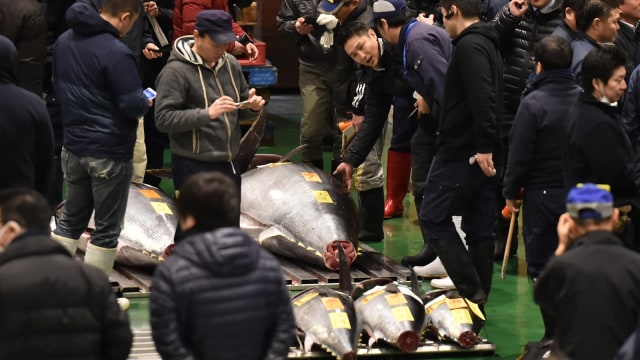 Suasana di acara lelang ikan pertama di tahun 2019 di Pasar Toyosu, Tokyo, Jepang. (Foto: AFP/KAZUHIRO NOGI)