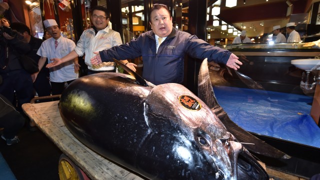 Pemilik rantai restoran sushi Jepang, Kiyoshi Kimura menunjukan tuna sirip biru seberat 278 kg di restoran utamanya di Tokyo, Jepang. (Foto: AFP/KAZUHIRO NOGI)
