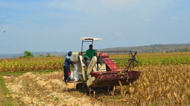 Petani sedang membersihkan ladang. Foto: Dok. Kementan