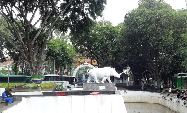 Silsilah Badak Putih dan Punahnya Nama-nama Lokal di Bandung