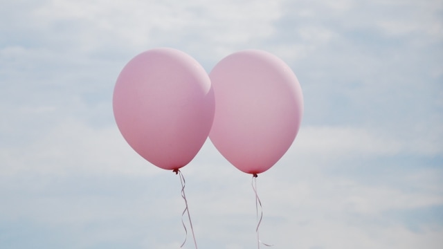 Ilustrasi Balon Udara. Foto: Pixabay