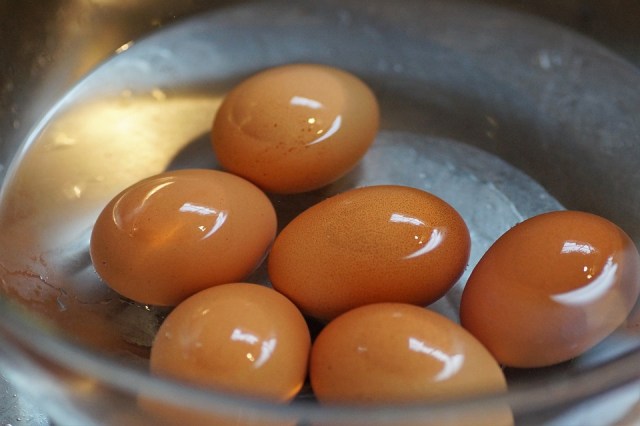 mencuci telur (Foto: dok.pixabay.com)