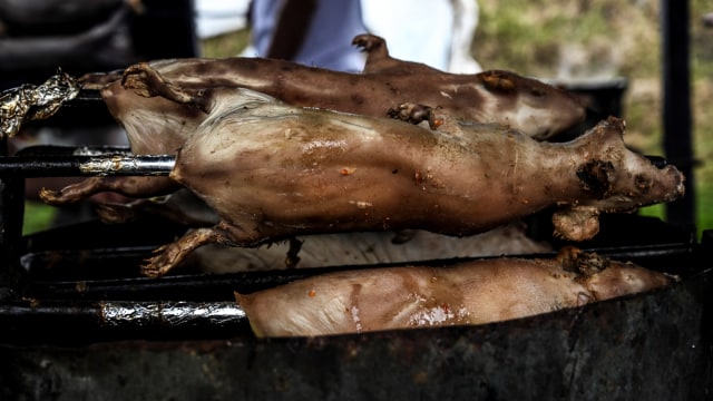 Olahan daging marmut yang dijual di Pasar Pasto, Kolombia. (Foto: AFP/JUAN BARRETO)