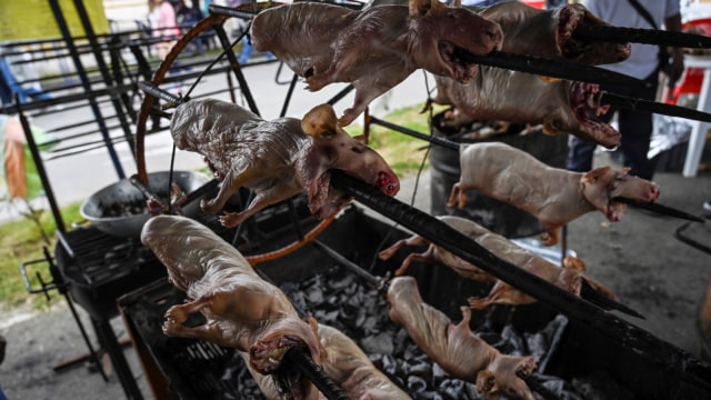 Olahan daging marmut yang dijual di Pasar Pasto, Kolombia. (Foto: AFP/JUAN BARRETO)