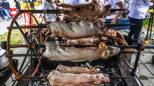 Olahan daging marmut yang dijual di Pasar Pasto, Kolombia. (Foto: AFP/JUAN BARRETO)