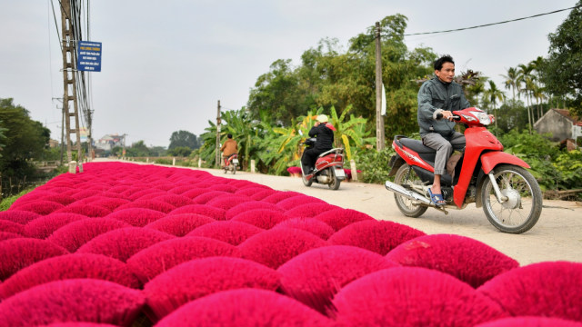 Suasana Desa Quang Phu Cau, Hanoi, Vietnam, saat batang bambu yang telah diproses menjadi dupa dikeringkan. (Foto: AFP/Manan VATSYAYANA)