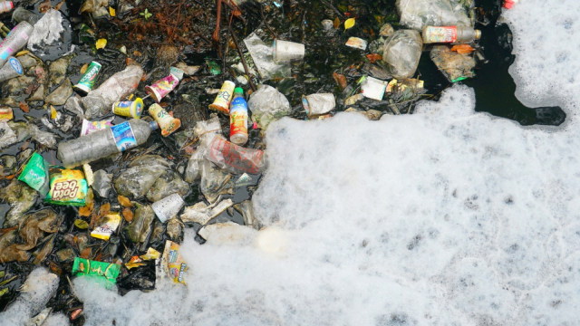 Sungai yang tertutup oleh sampah menyebabkan bau menyengat di Kali Pisang Batu, Bekasi. (Foto: Iqbal Firdaus/kumparan)