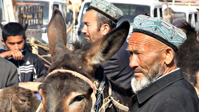 Peternak Uighur di pasar ternak. (Foto: Dok. Wikimedia)