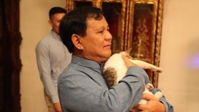 Bobby, Kucing Prabowo Subianto. Foto: Instagram/@Prabowo