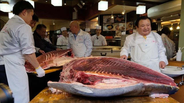 Kiyoshi Kimura (kanan) pemilik restoran sushi Sushi-Zanmai mengolah tuna sirip biru seharga Rp 44 miliar di Tokyo, Jepang. (Foto: AFP/KAZUHIRO NOGI)