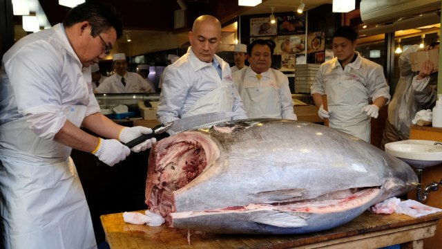 Karyawan restoran sushi Sushi-Zanmai memotong tuna sirip biru seharga Rp 44 miliar di Tokyo, Jepang. (Foto: AFP/KAZUHIRO NOGI)