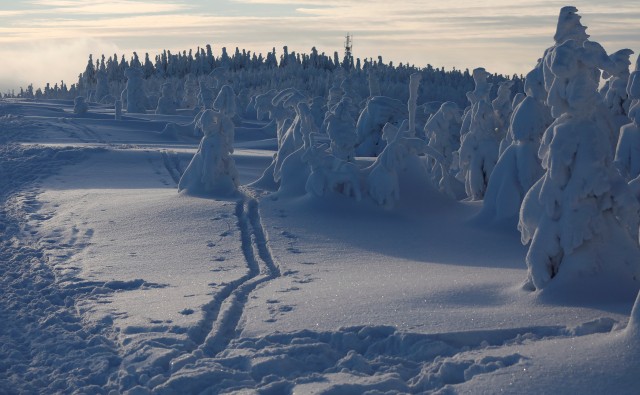 Pohon-pohon tertimbun salju di pegunungan Szczyrk, Polandia. (Foto: REUTERS/Kacper Pempel)