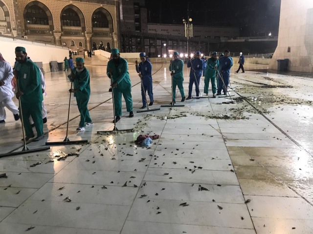 Jutaan jangkrik keluar dari lubang bawah tanah di sekitar Masjidil haram. (Foto: Twitter)