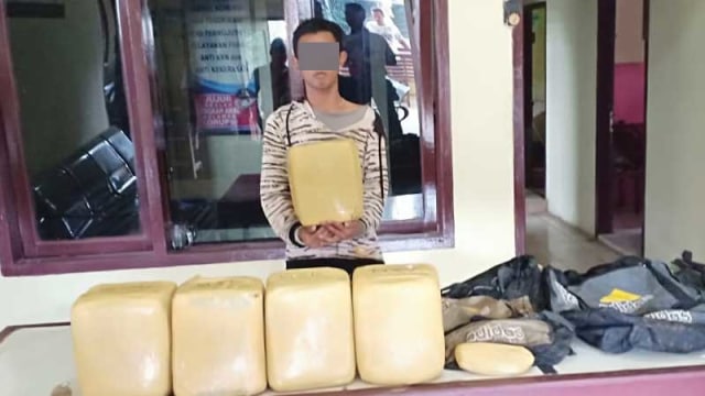 Polres Madina Amankan 23 Kg Ganja Kering