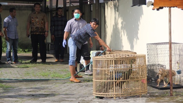 Lokasi penangkapan pelaku penjual burung Cendrawasih yang dilindungi. (Foto: DOK. Humas Polres Bantul)