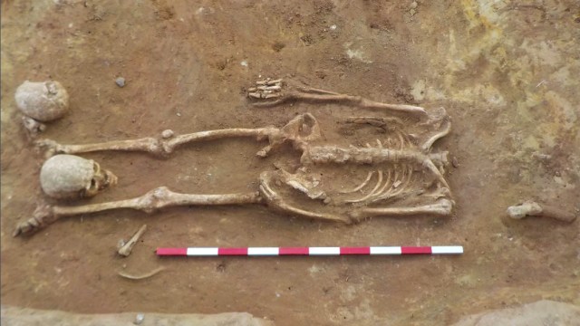Penemuan tulang belulang orang Romawi dengan kaki di kepala, di desa Great Whelnetham di Suffolk, Inggris. (Foto: Archaeological Solutions)