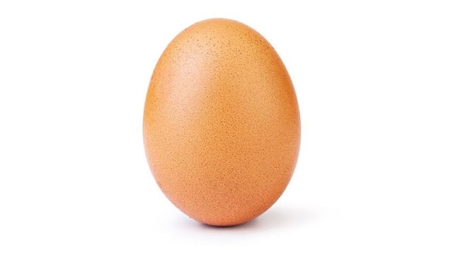 Foto telur yang jadi rekor paling banyak disukai di Instagram. Foto: world_record_egg/Instagram