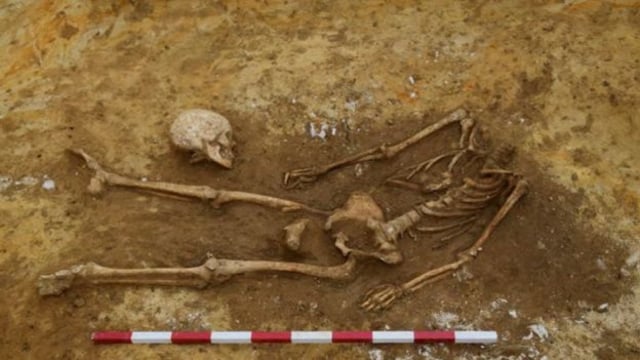Temuan tulang belulang tanpa kepala di Inggris. (Foto: Archeological Solutions)