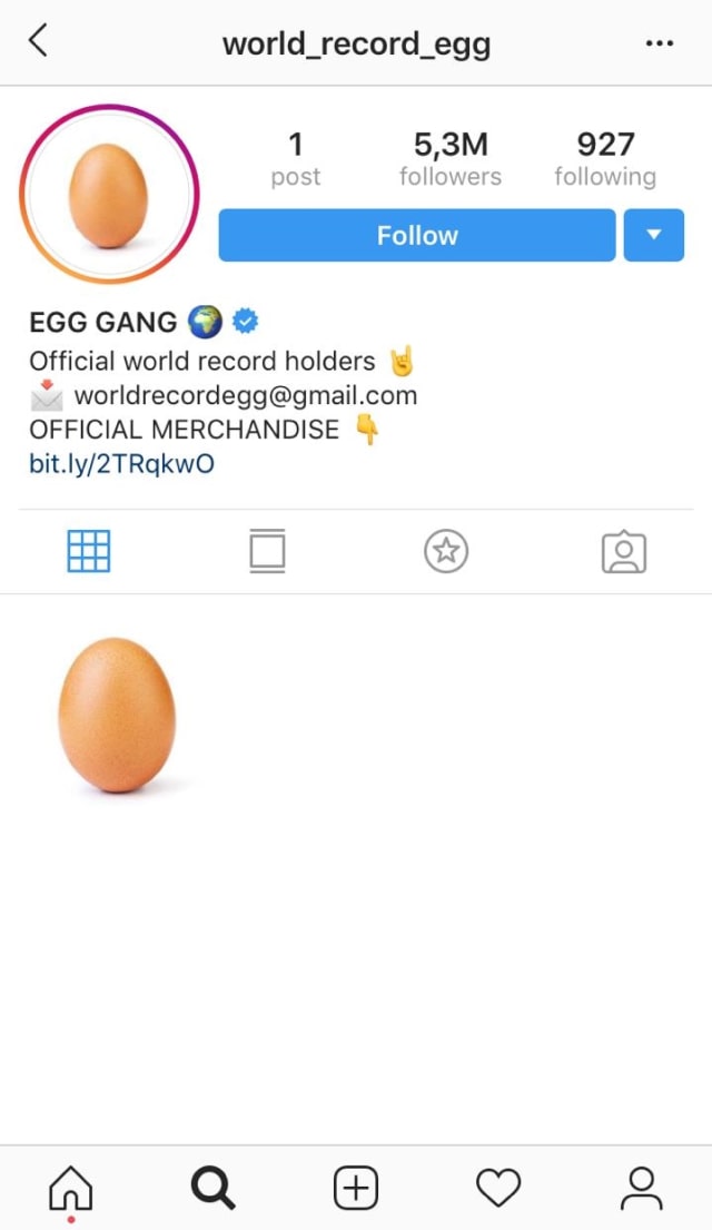 Akun Instagram telur pemecah rekor dunia (Foto: Instagram/ @world_record_egg)